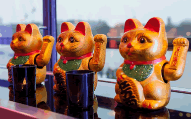 Lucky Cats Hire