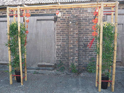 Bamboo Arch for Chinese Event decoration