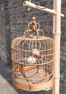 Bird Cages for Oriental Event Decoration