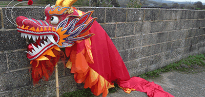Dragon Performance Costume
